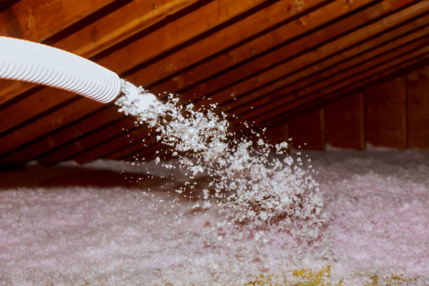 Best Insulation Contractors for Homes  in Kasson, MN