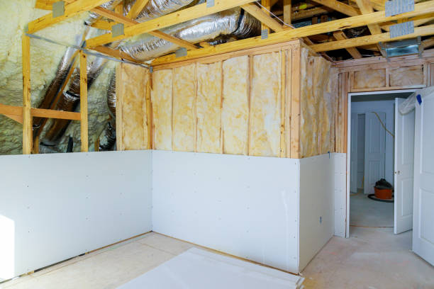 Best Insulation for New Construction  in Kasson, MN