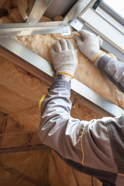 Best Spray Foam Insulation  in Kasson, MN