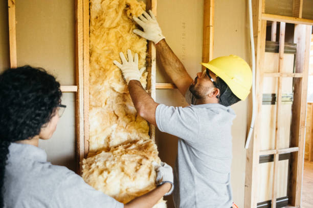 Insulation Repair Services in Kasson, MN