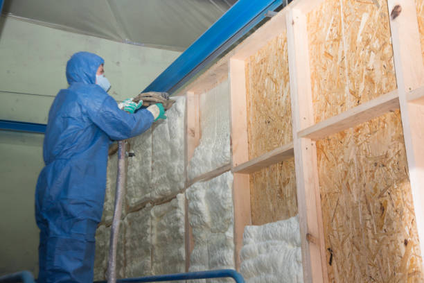 Best Affordable Insulation Services  in Kasson, MN