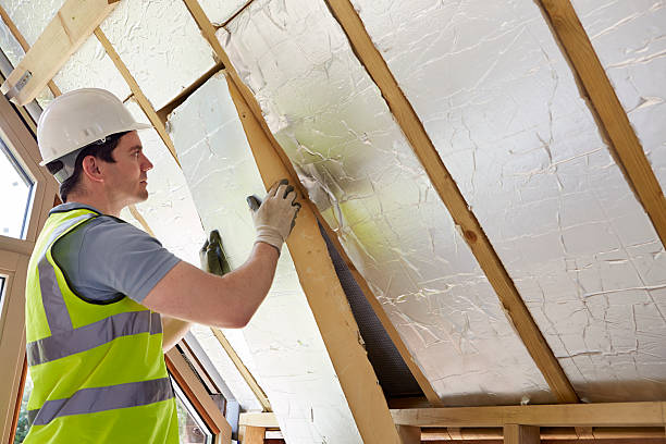 Best Spray Foam Insulation  in Kasson, MN